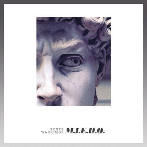 M.I.E.D.O