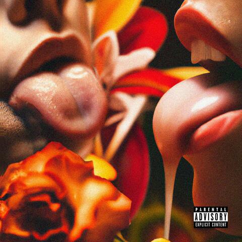 Bloody Tulips