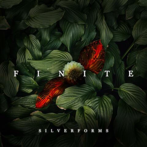 Finite