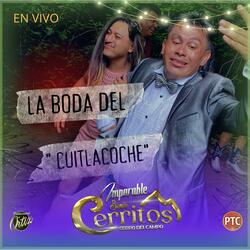 El Cuitlacoche
