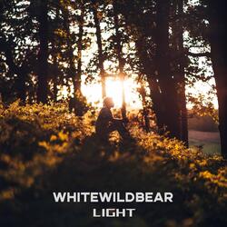 Light