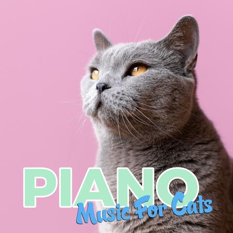 Soothing Cat Piano Music