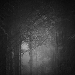Spooky Lofi