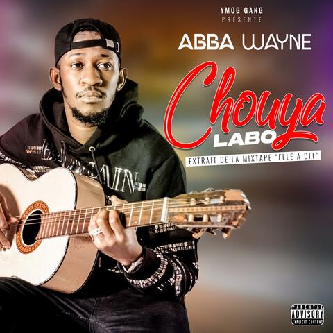 Chouya labo
