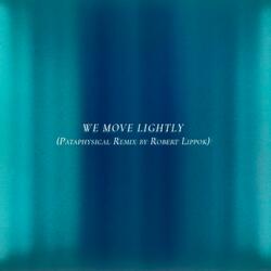 We Move Lightly (feat. Robert Lippok)