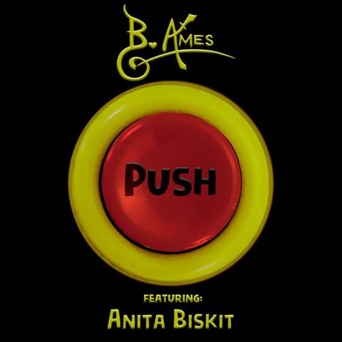 Push (feat. Anita Biskit)