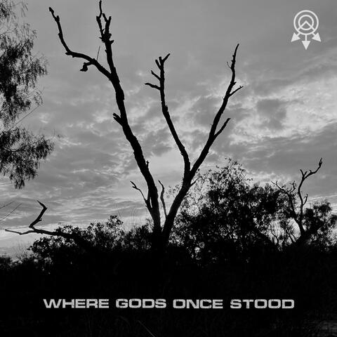 WHERE GODS ONCE STOOD