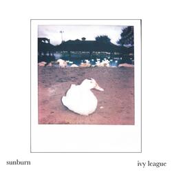 Sunburn