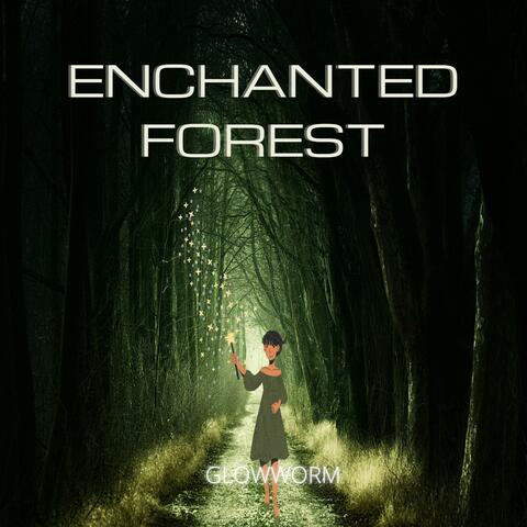 Enchanted Forest