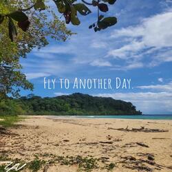 Fly To Another Day