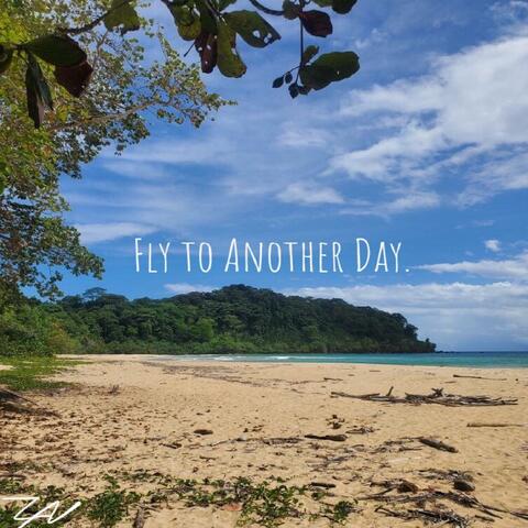 Fly To Another Day