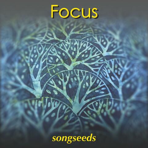 Focus