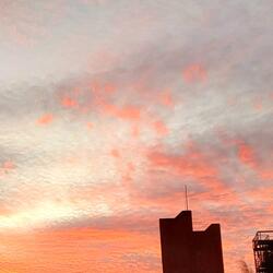 Fireworks and Butterflies