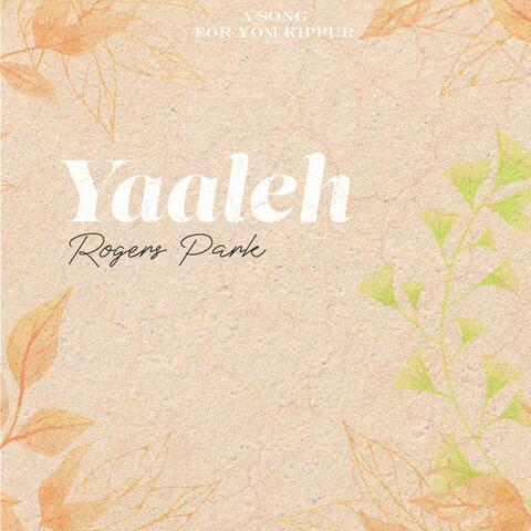 Yaaleh