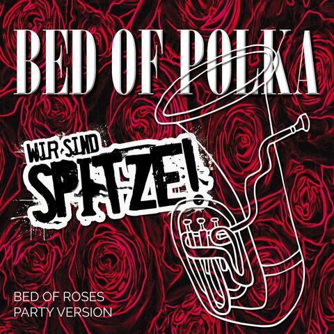 Bed of Polka
