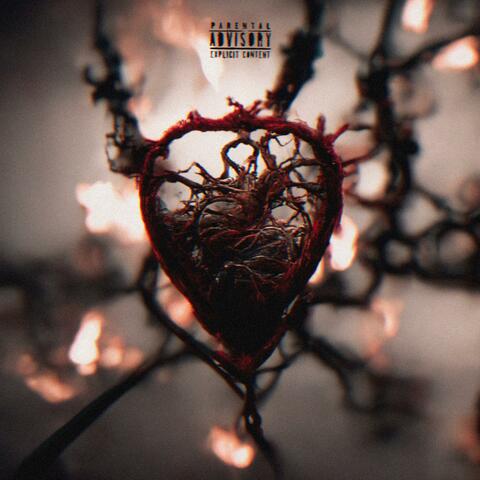 TRAP LOVE