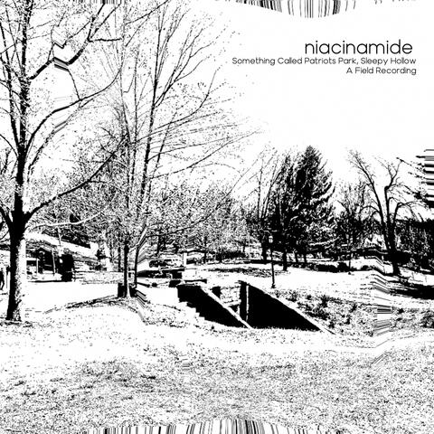 Something Called Patriots Park, Sleepy Hollow: A Field Recording