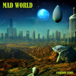 Mad World