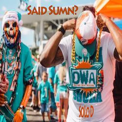 Said Something Miami Dolphins edition (feat. SoLo D)