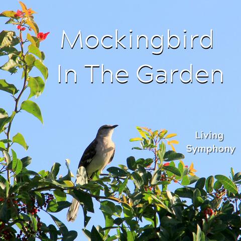 Mockingbird In The Garden