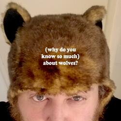 (Why Do You Know So Much) About Wolves?