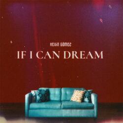 If I Can Dream
