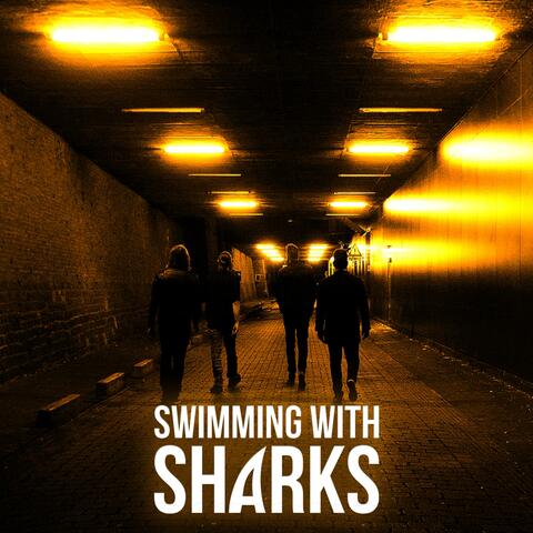 Swimming With Sharks