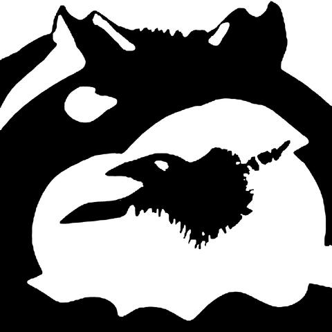 Wolf & Raven