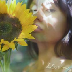 Bloom