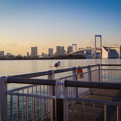 東•京荒