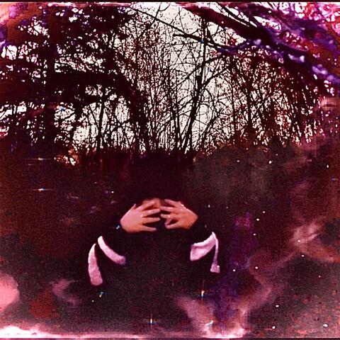 No Darkness