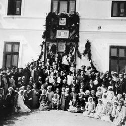 De Press - Korzeń Jabłonki