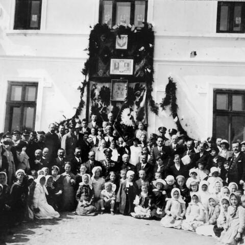 De Press - Korzeń Jabłonki