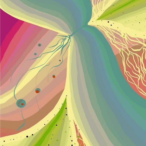 Everything Feels Gross