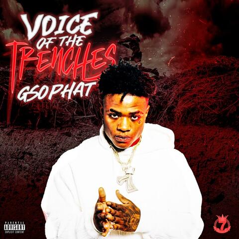 VoiceOf The Trenches