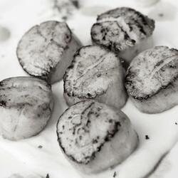 Scallops (feat. Raidarap)