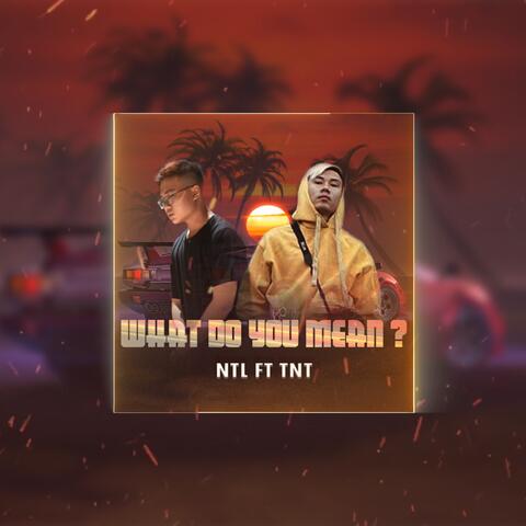 What Do You Mean (feat. TNT)