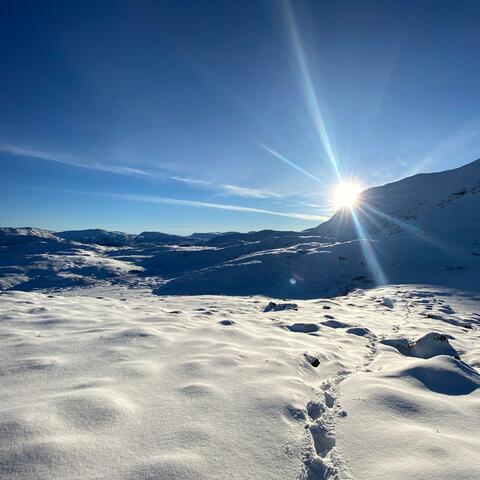 A New Beginning