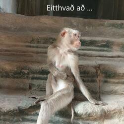 Eitthvað að