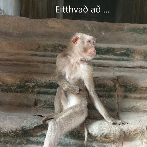 Eitthvað að