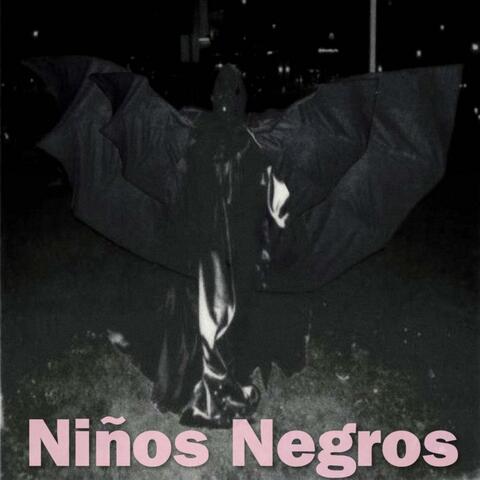 Niños negros