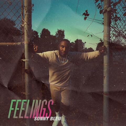 Feelings