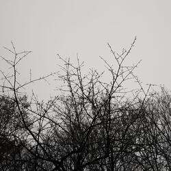 winter drive (feat. Don Leachim)