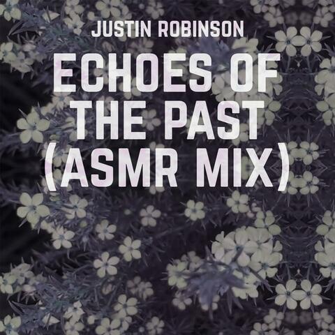 Echoes of the Past (ASMR Mix)