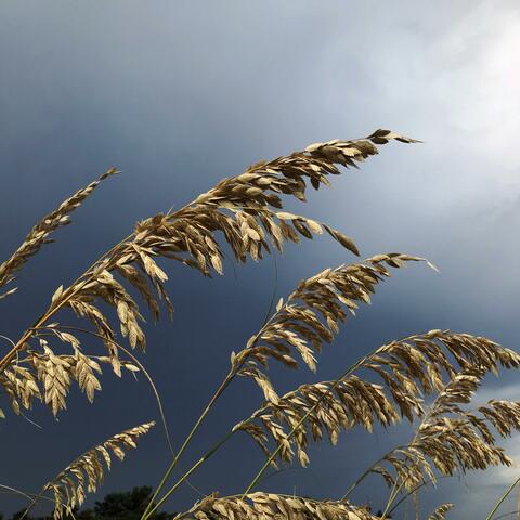 12-28-96 (Anniversary Version)