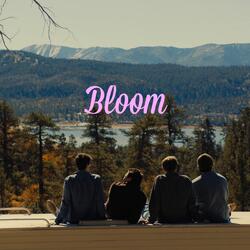 Bloom