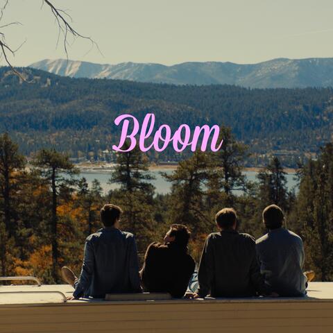 Bloom