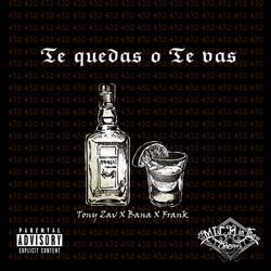 Te Quedas O Te Vas (feat. Tony Zav)