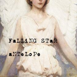 Falling Star