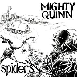 Spiders